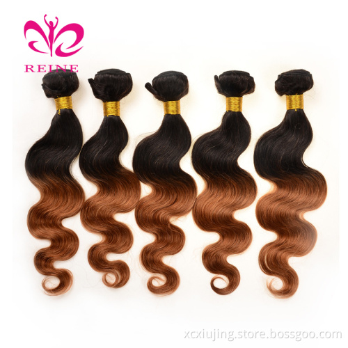 9A Brazilian Virgin Hair Body Wave Bundles REINE Two Tone Ombre Human Hair 1b 30 Color